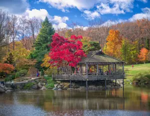 alt="A scenic view of the beautiful flower displays and conservatories at Brookside Gardens near Silver Spring, MD."