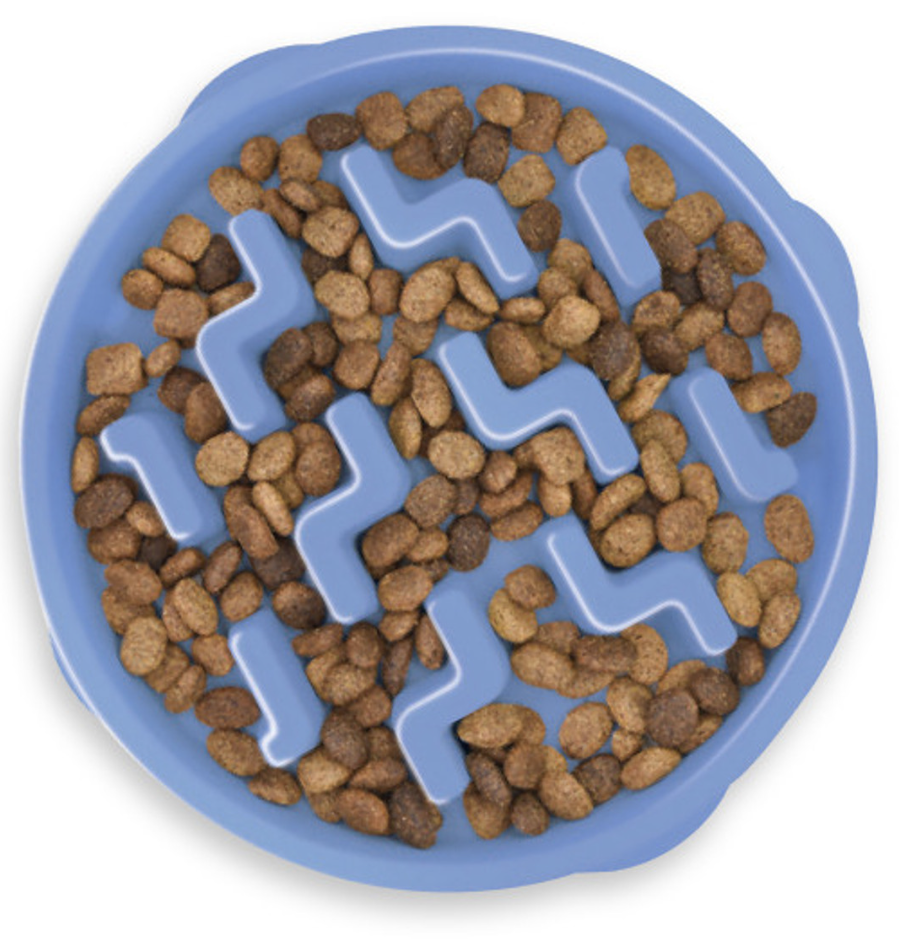 slow feeder bowl