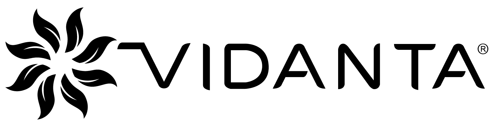 Organización de experiencia profesional 1