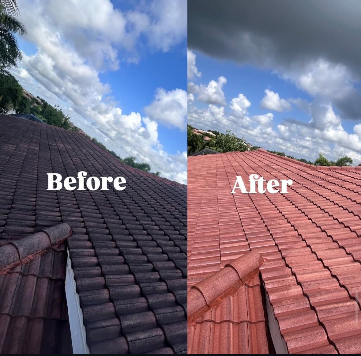 Clay tile roof before and after soft washing: dark, algae-stained tiles on the left and the same roof clean and red on the right