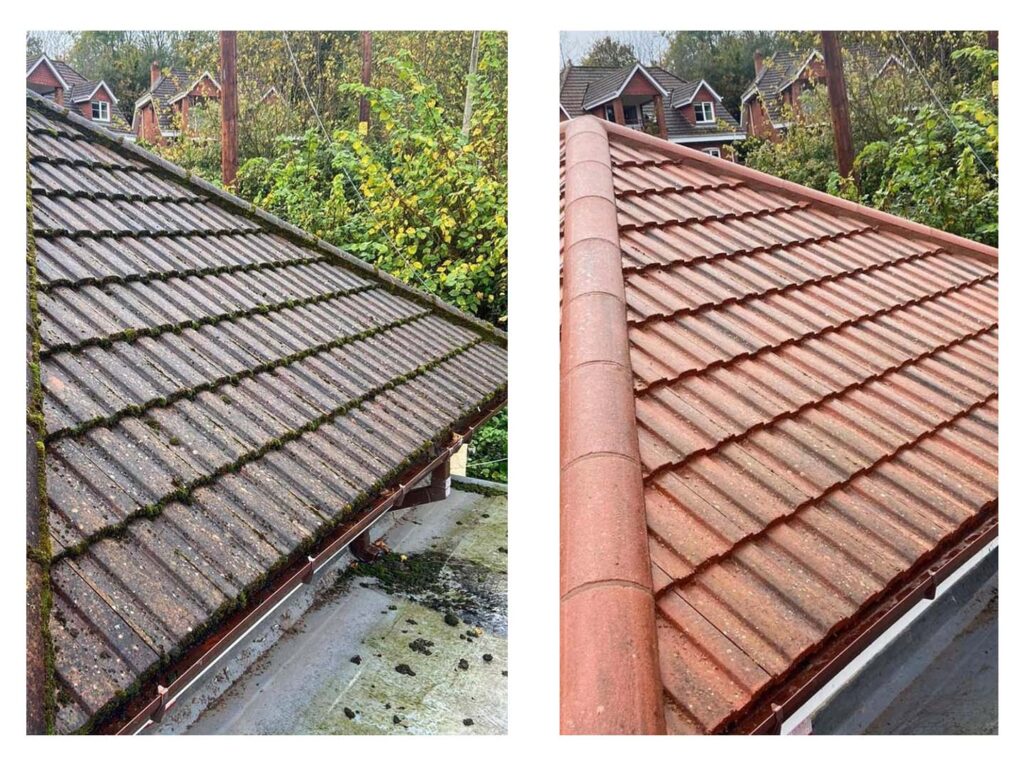 Tile roof before and after soft washing: black algae streaks on the left, clean red tile on the right