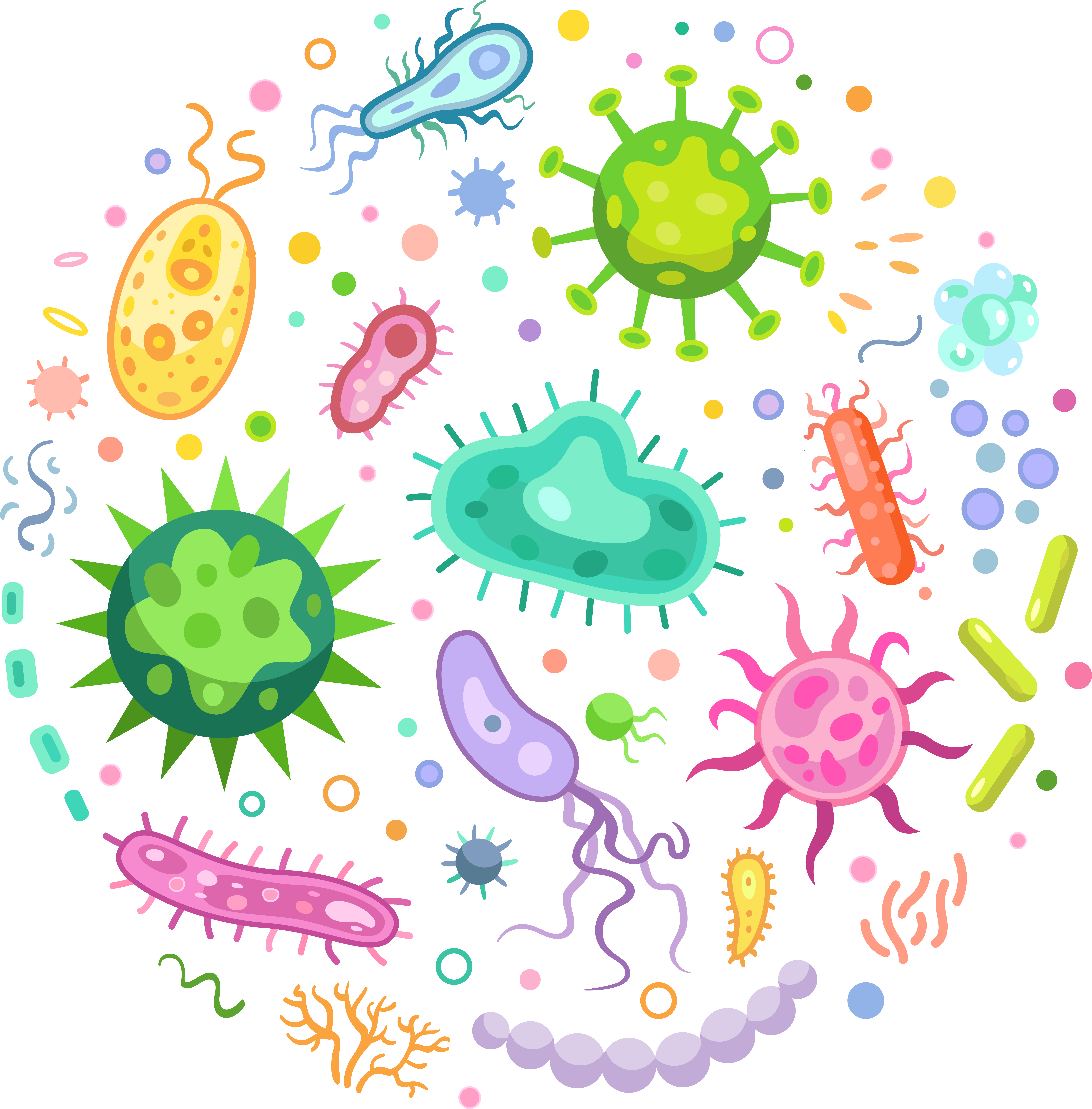 Your gut microbiome