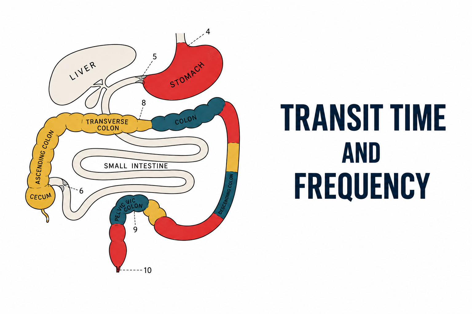 Module 5 - Transit Time and Frequency