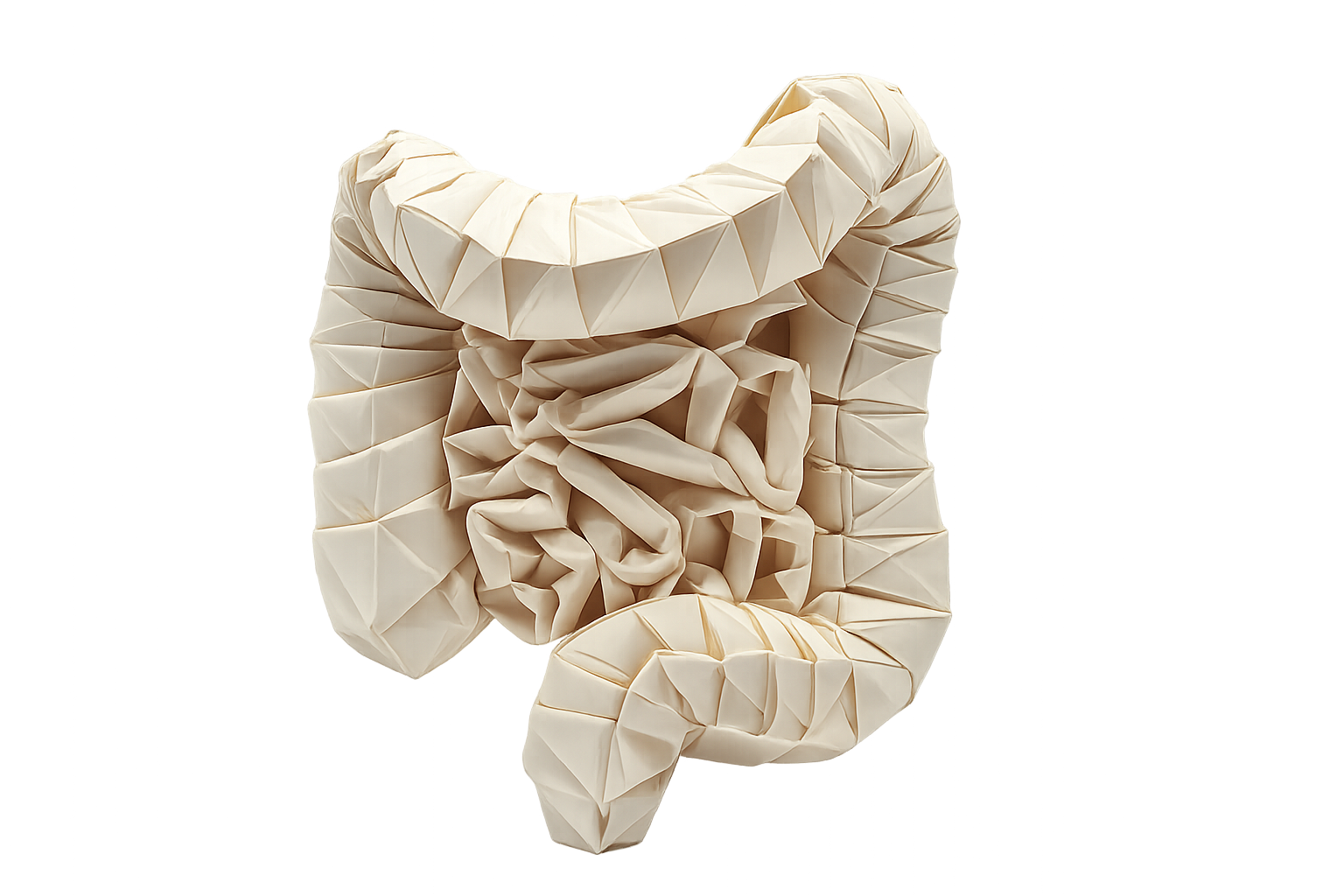 Your gut rebuilds in days