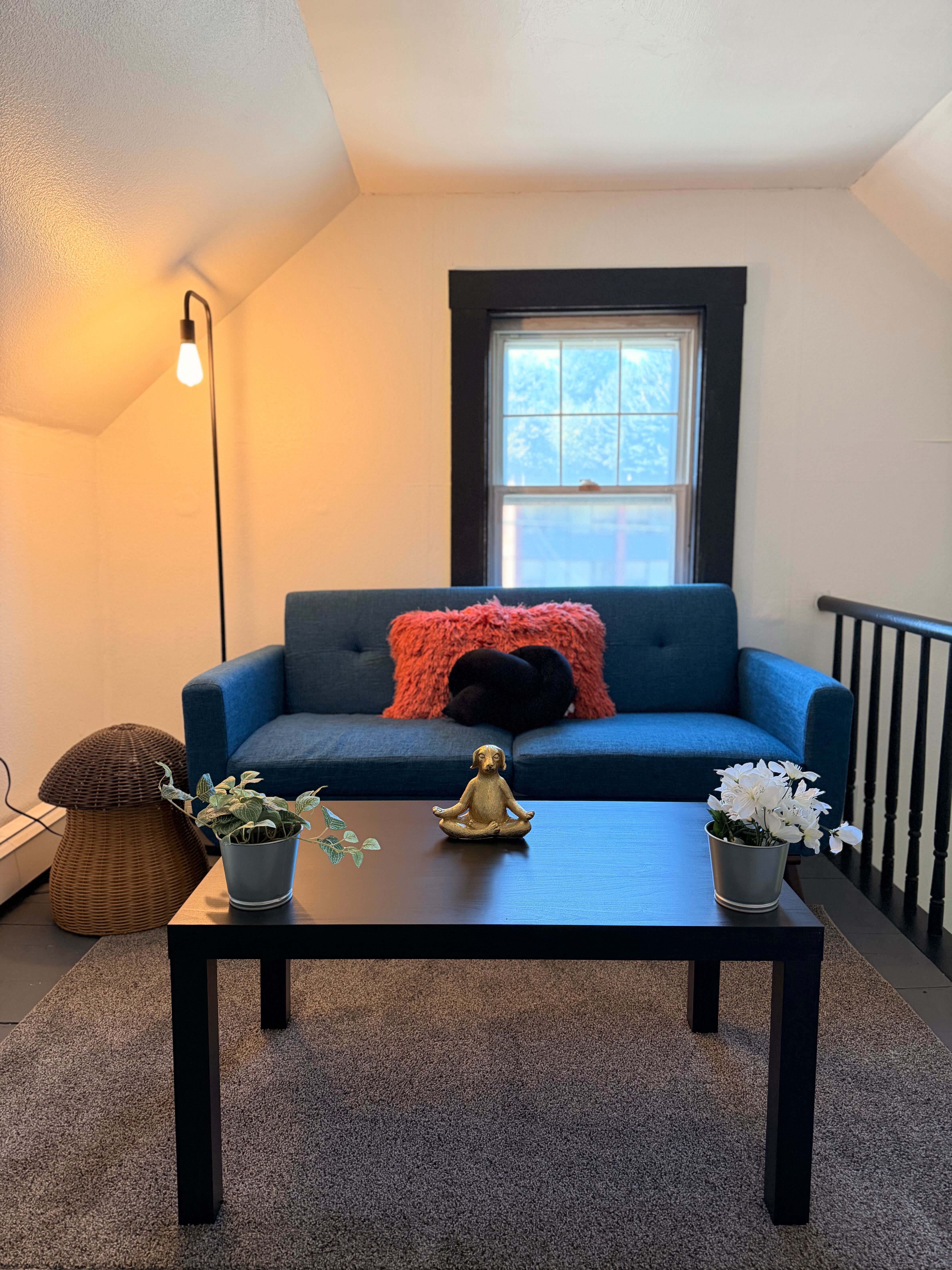 Zen Room at Pet Companions Bed and Biscuit in Reading, MA
