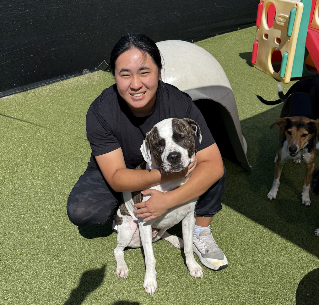 Bella, Daycare Associate at Pet Companions Bed and Biscuit in Reading, MA