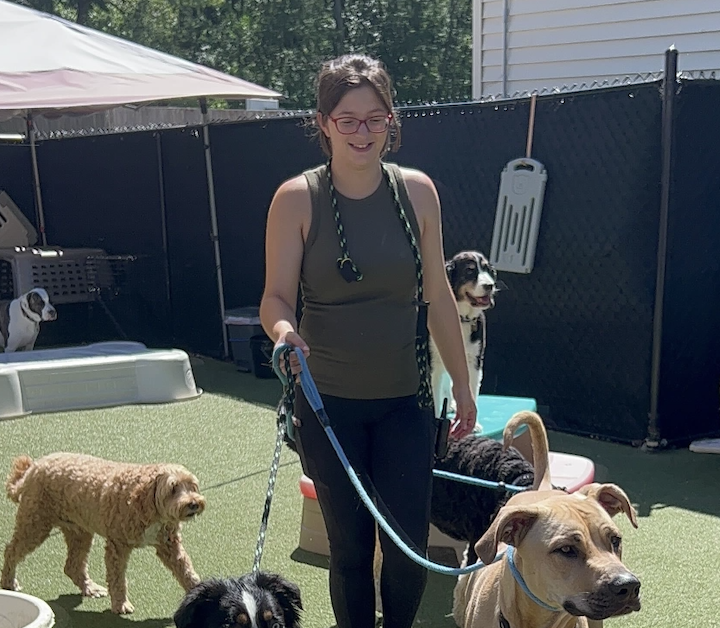 Ava, Daycare Associate at Pet Companions Bed and Biscuit in Reading, MA