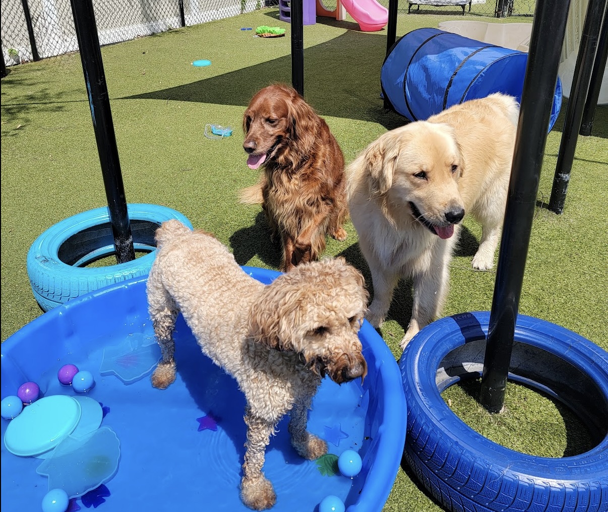 Summer Safety