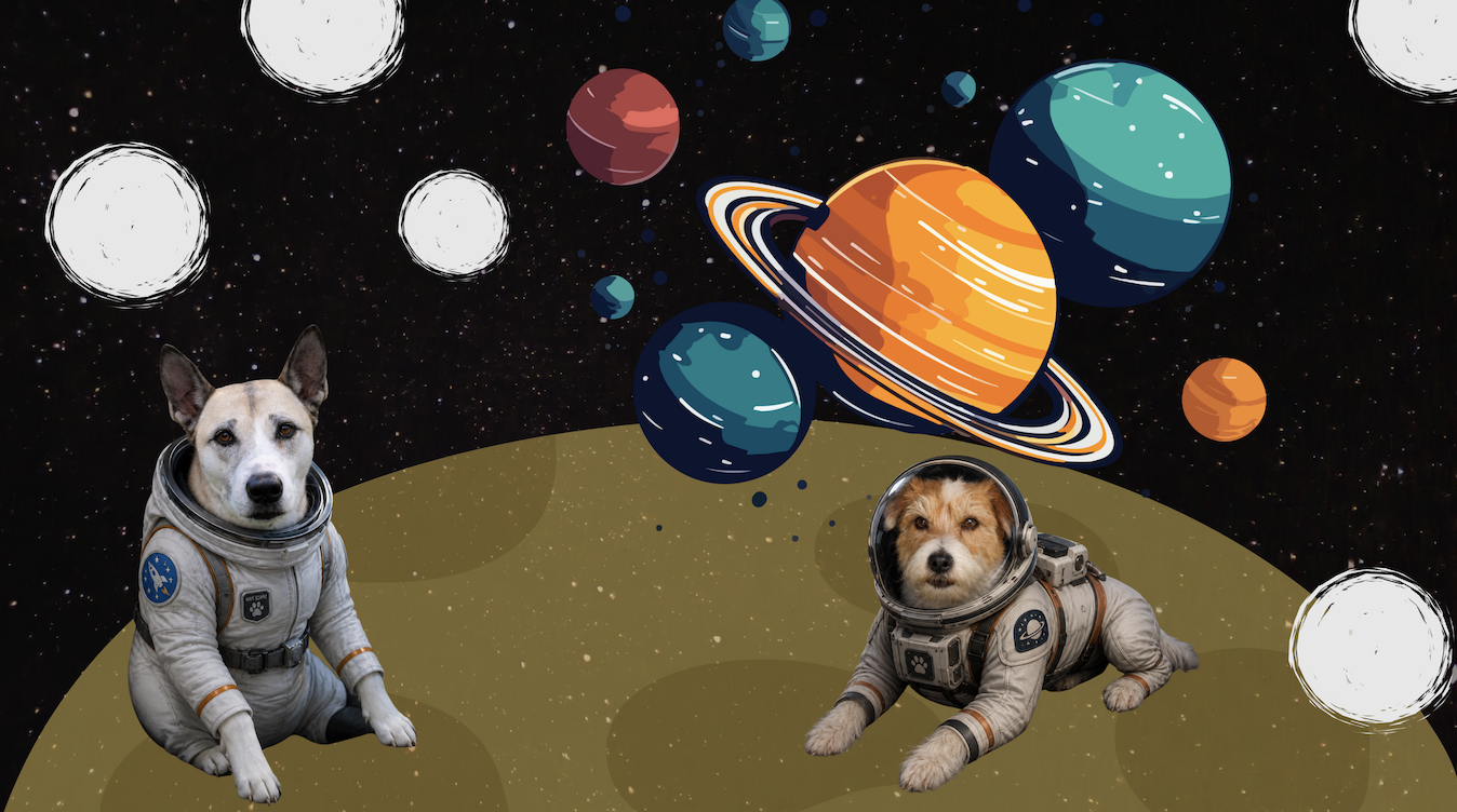 Space Camp