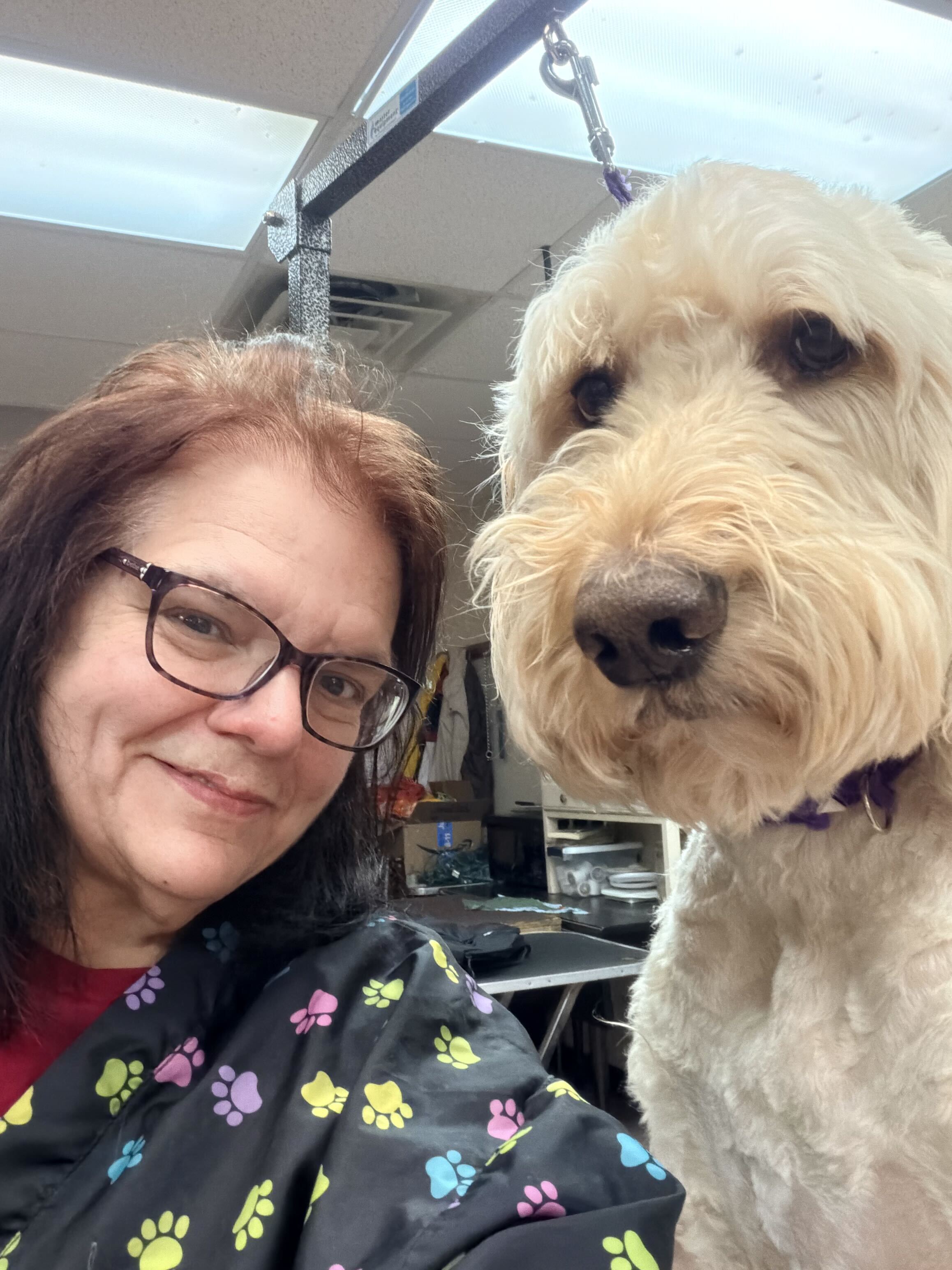 Tammy, Professional Dog Groomer at Pet Companions Bed and Biscuit in Reading, MA