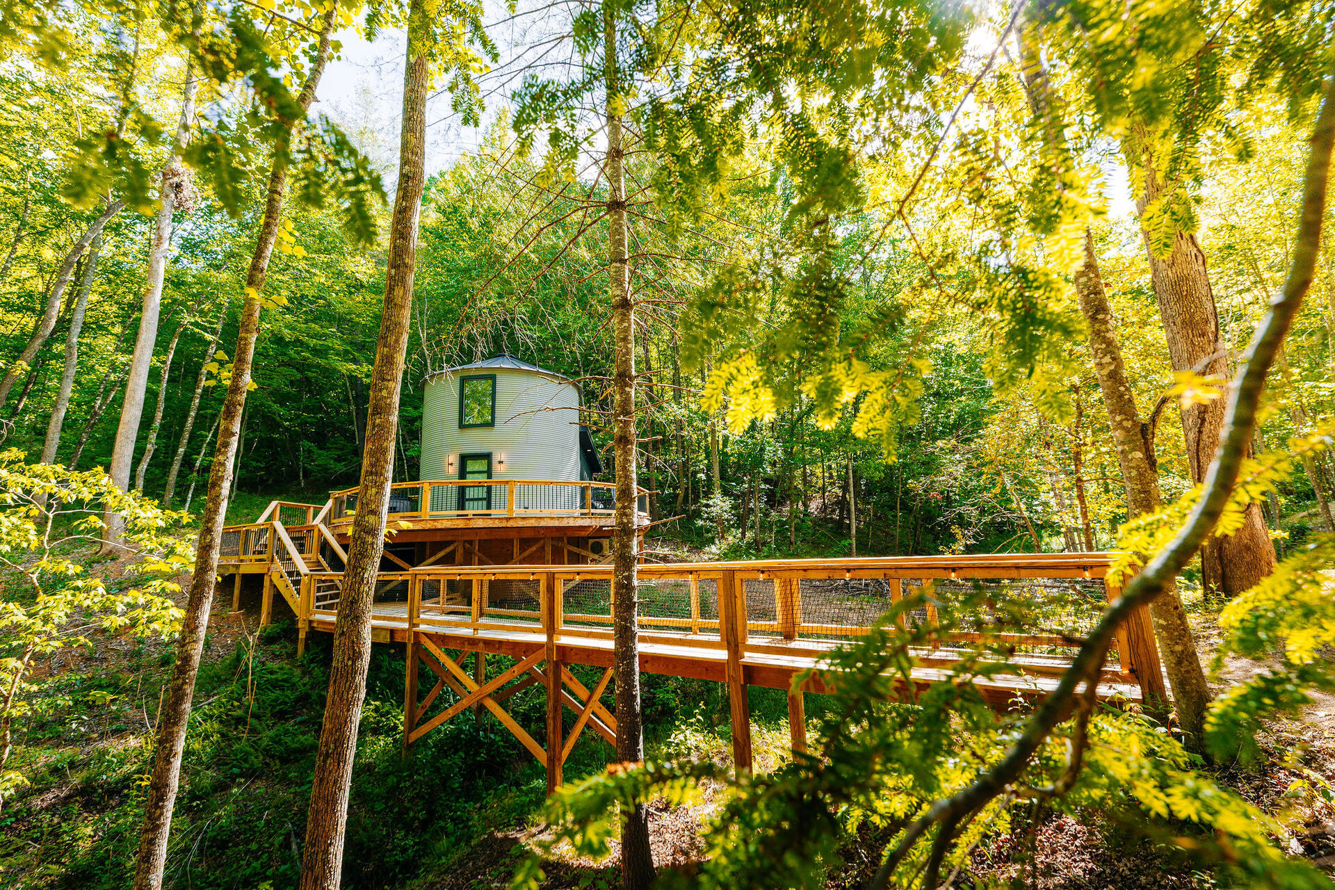 Wooden footbridge strung with lights leading through the forest to The Yoder