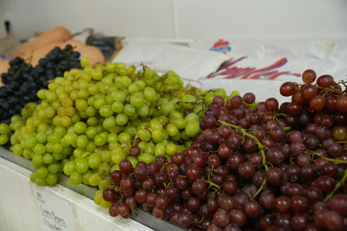 Our famous gigantic red and green grapes at the stand