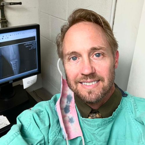 Dr. Stacey Kevin Frick as a successful but instable vet