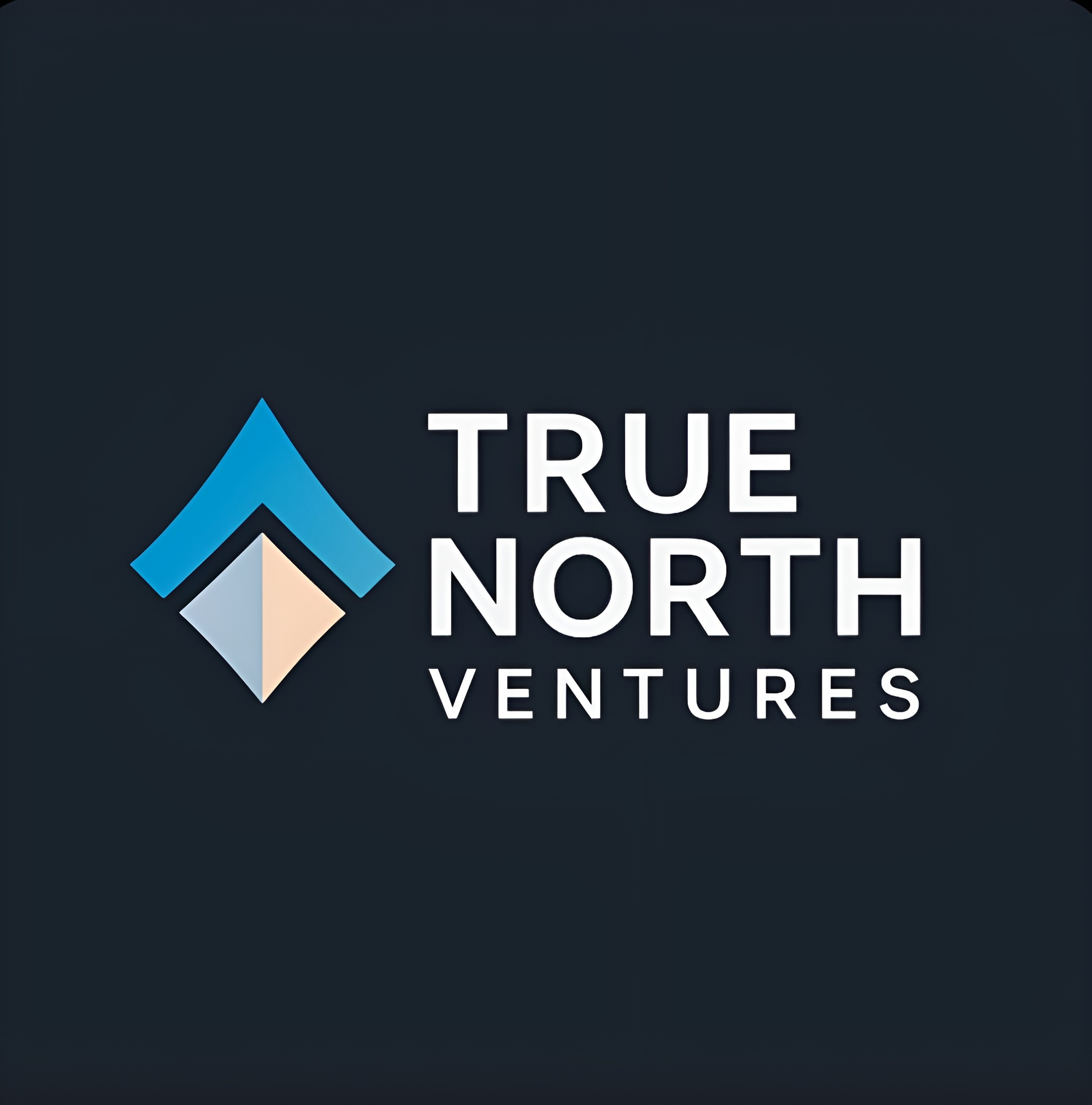 True North Ventures | Credit Mentorship & Financial Growth