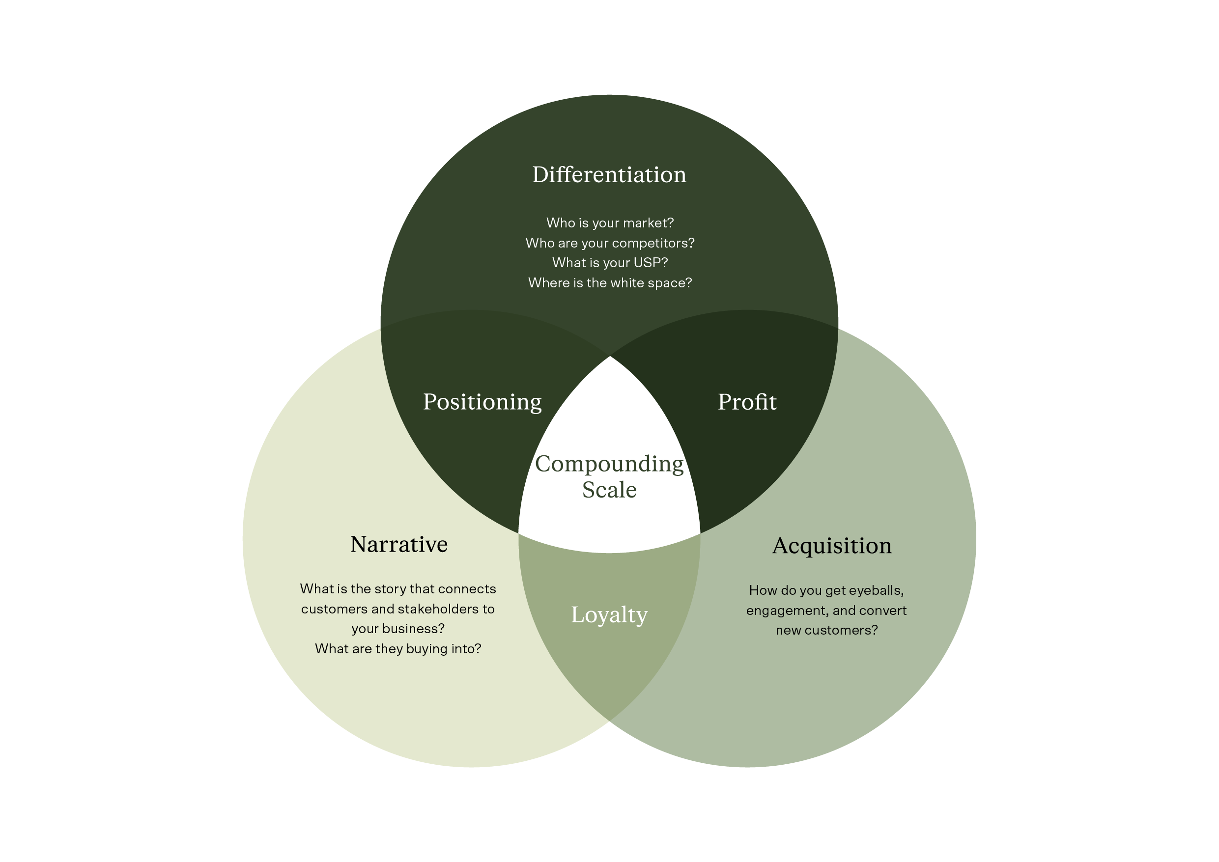 Digital D.N.A. Framework: Differentiation, Narrative, Acquisition