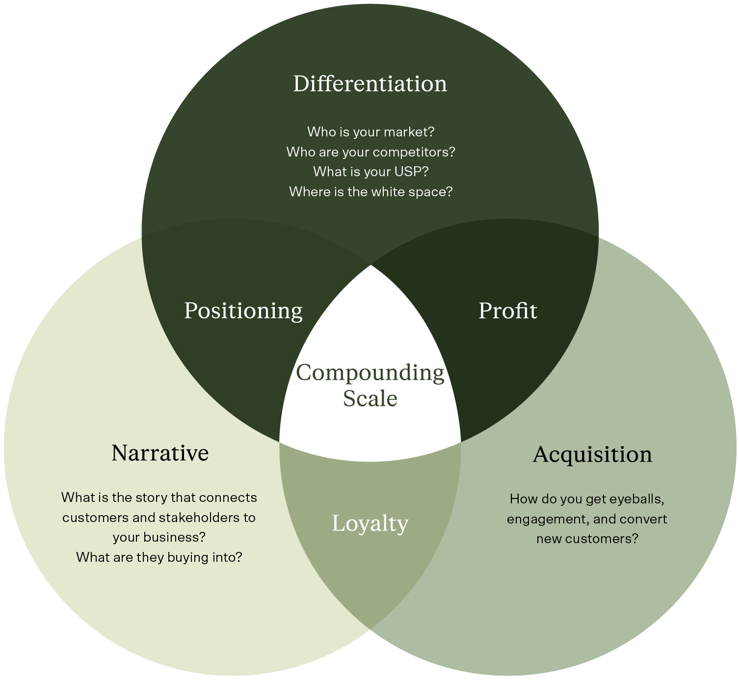 Digital D.N.A. Framework: Differentiation, Narrative, Acquisition