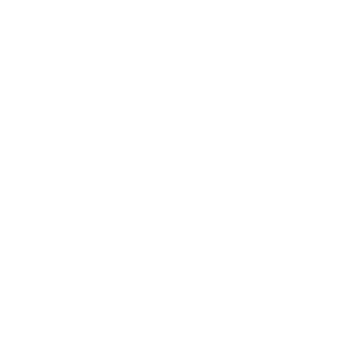 Check Engine Light Repair