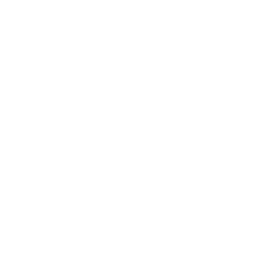 Engine Repair