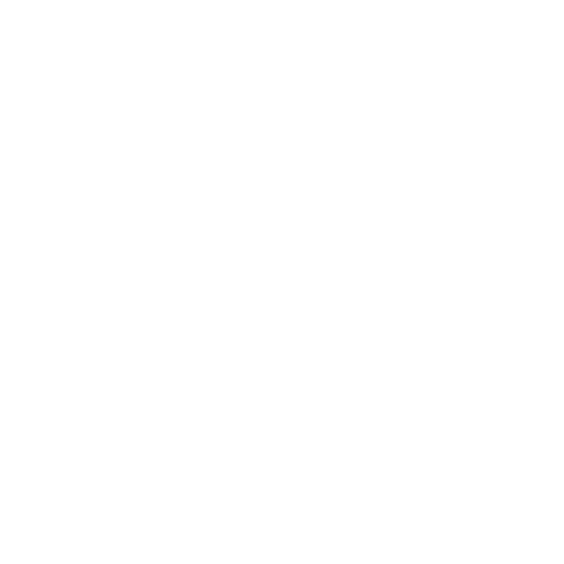 Diesel Repair