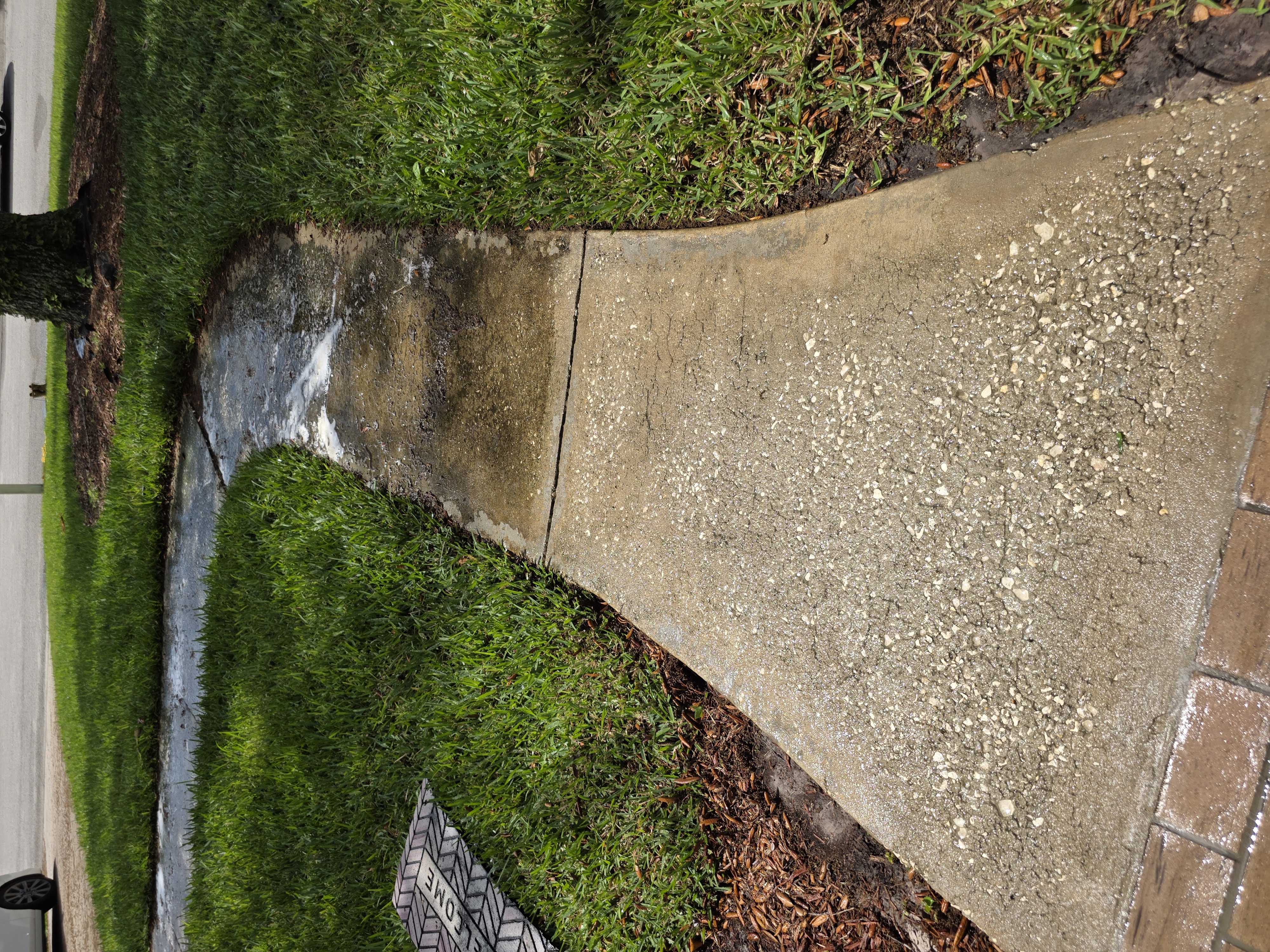 Port Orange Roof Washing – Asphalt Shingle