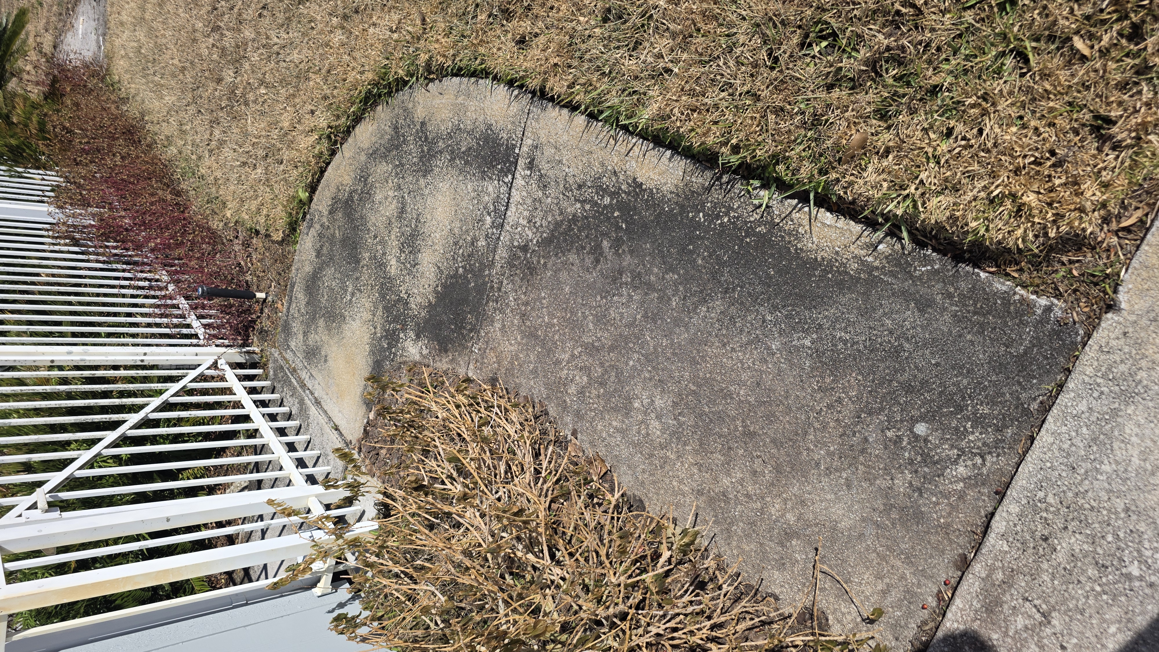 Daytona Sidewalk Cleaning