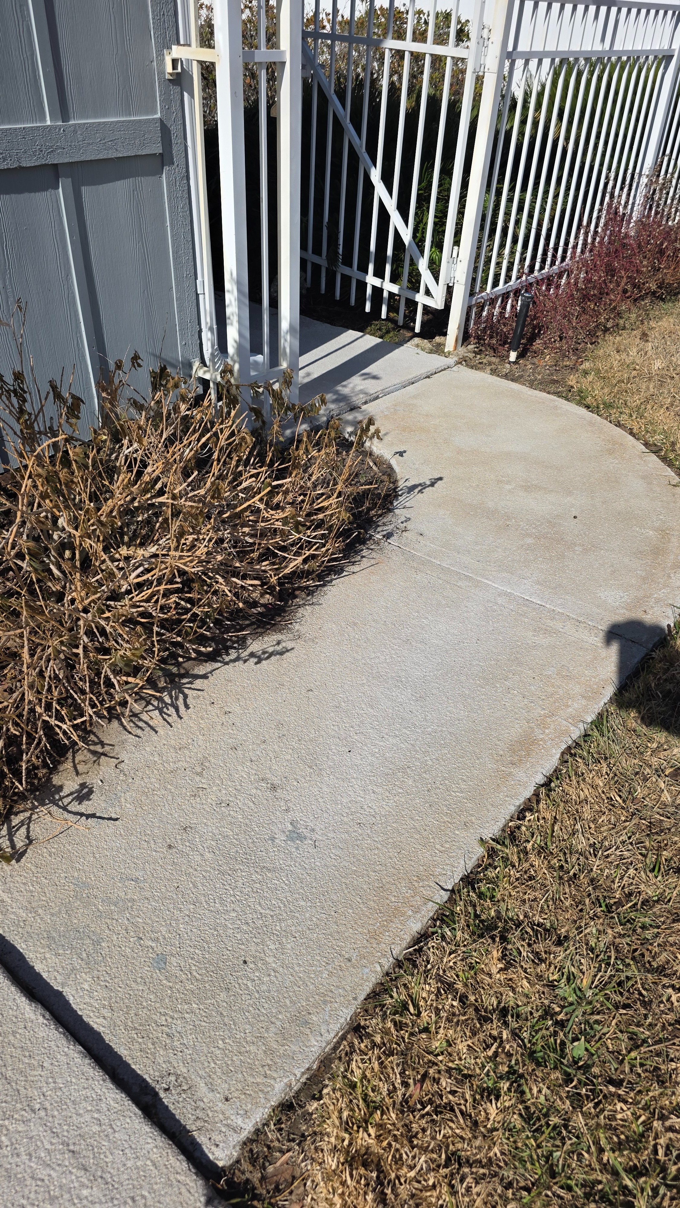 Roof Washing – Asphalt Shingle