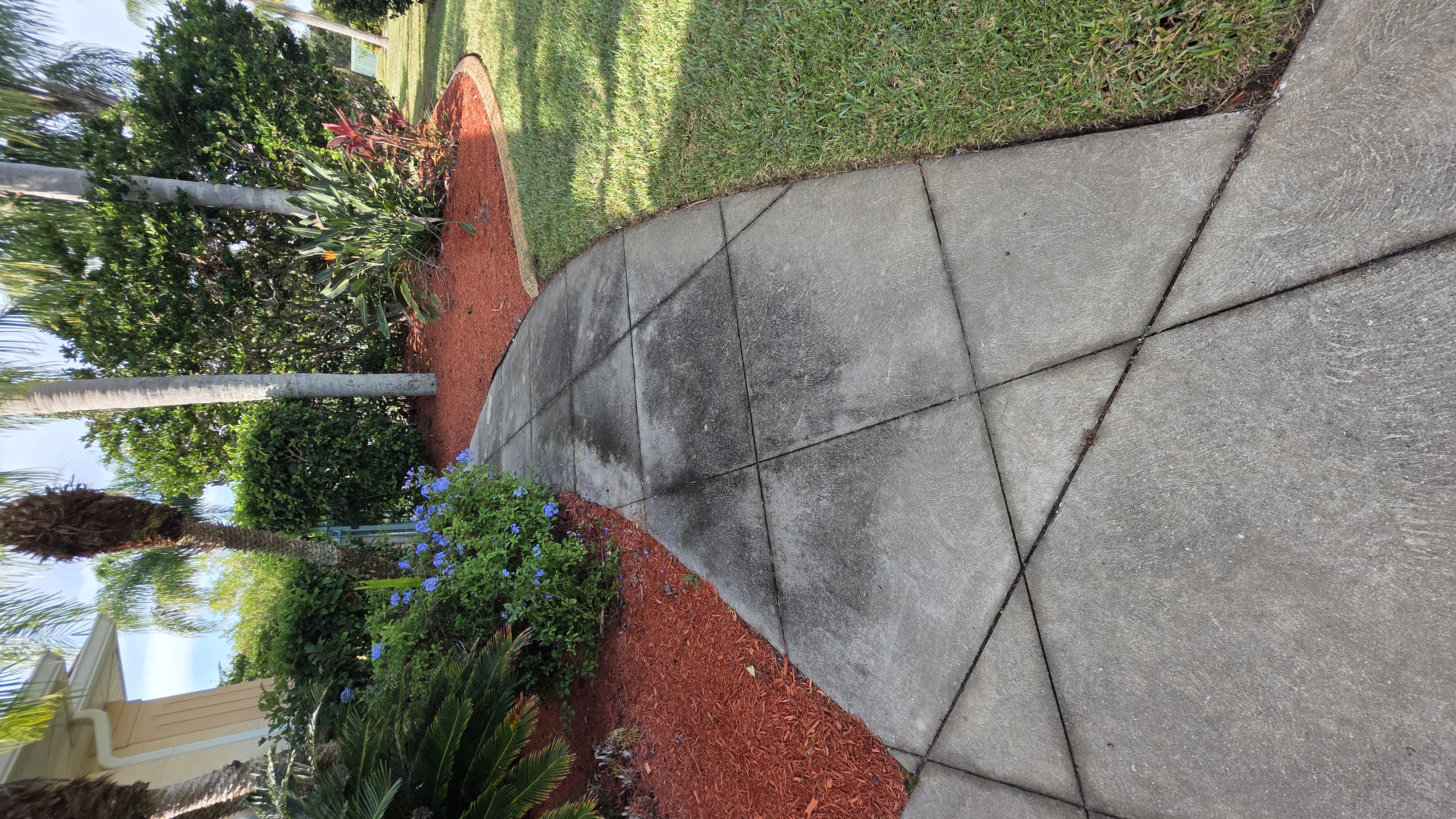 Roof Washing – Asphalt Shingle Volusia County Florida