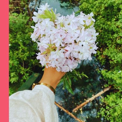 how to Stay disciplined When Your Life is falling apart (The Hidden Psychology That Changes Everything)