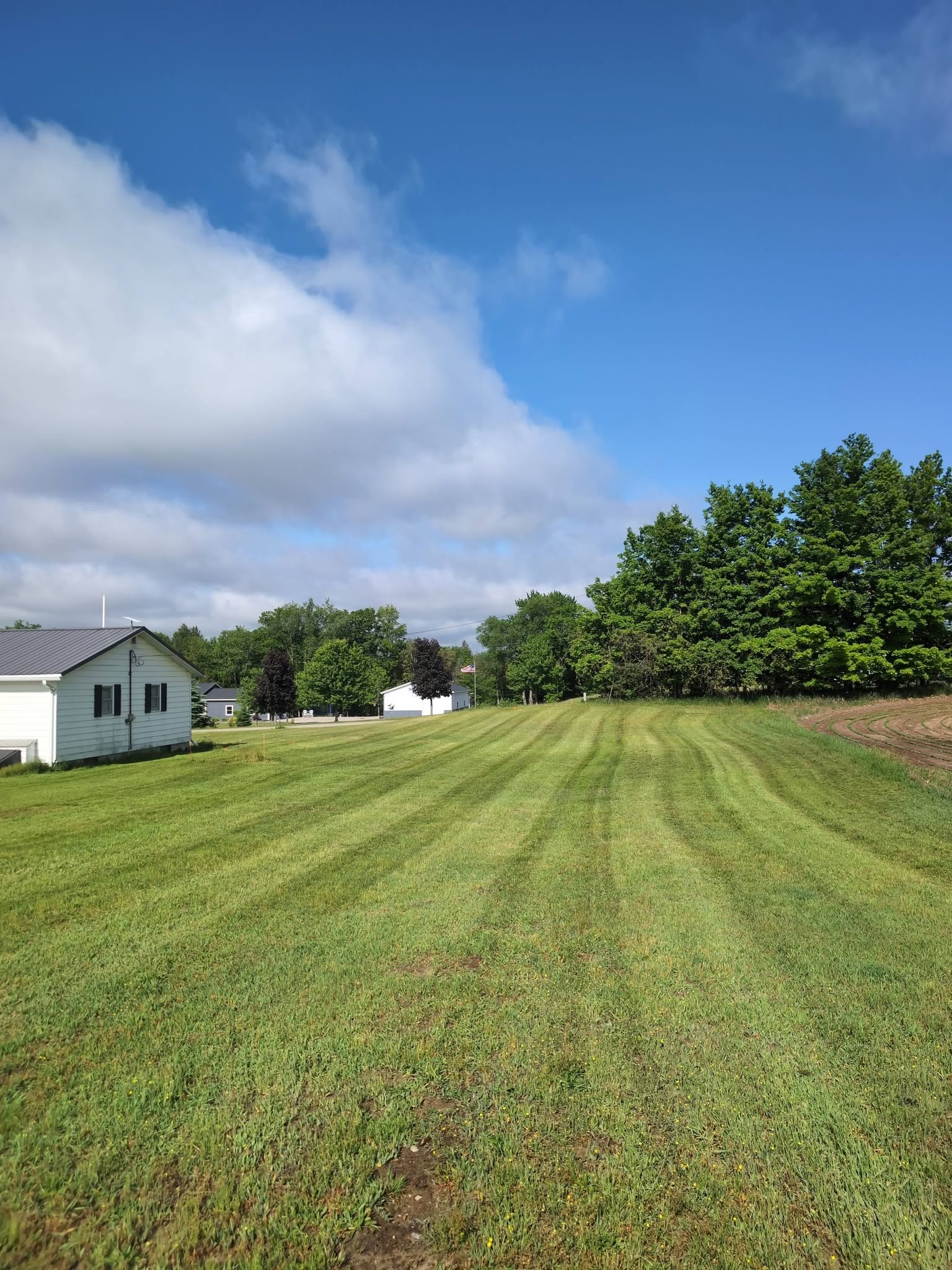 Professional grass mowing service Six Lakes Michigan by Lakehouse Lawn Care