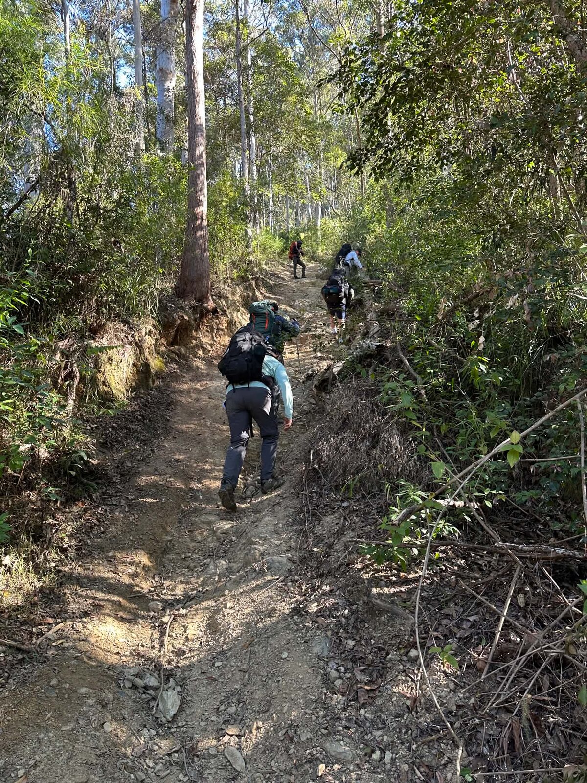 Men climbing through wilderness