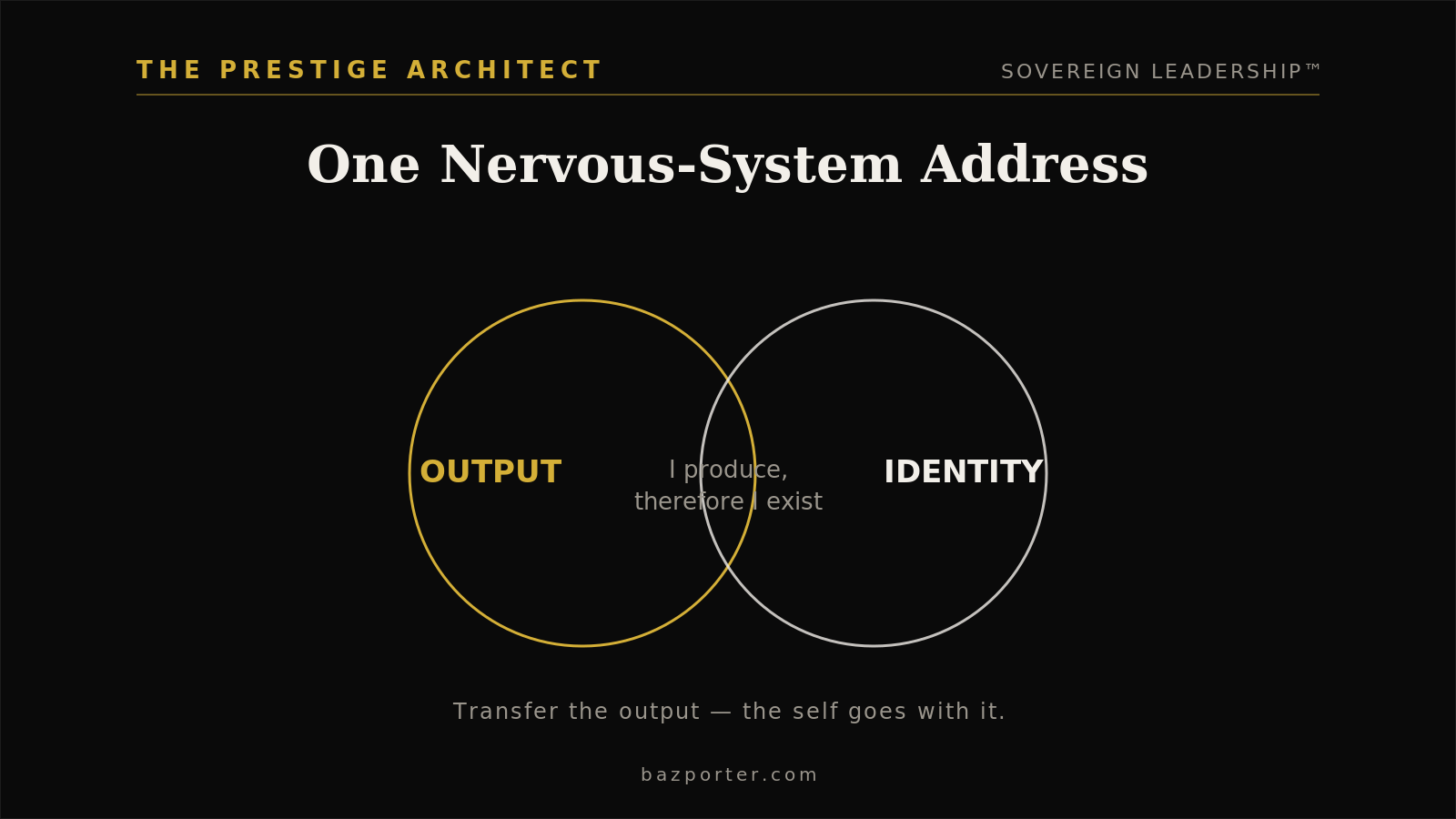 Diagnosing the output and identity gap for a founder facing succession anxiety, a Results pillar nervous-system map