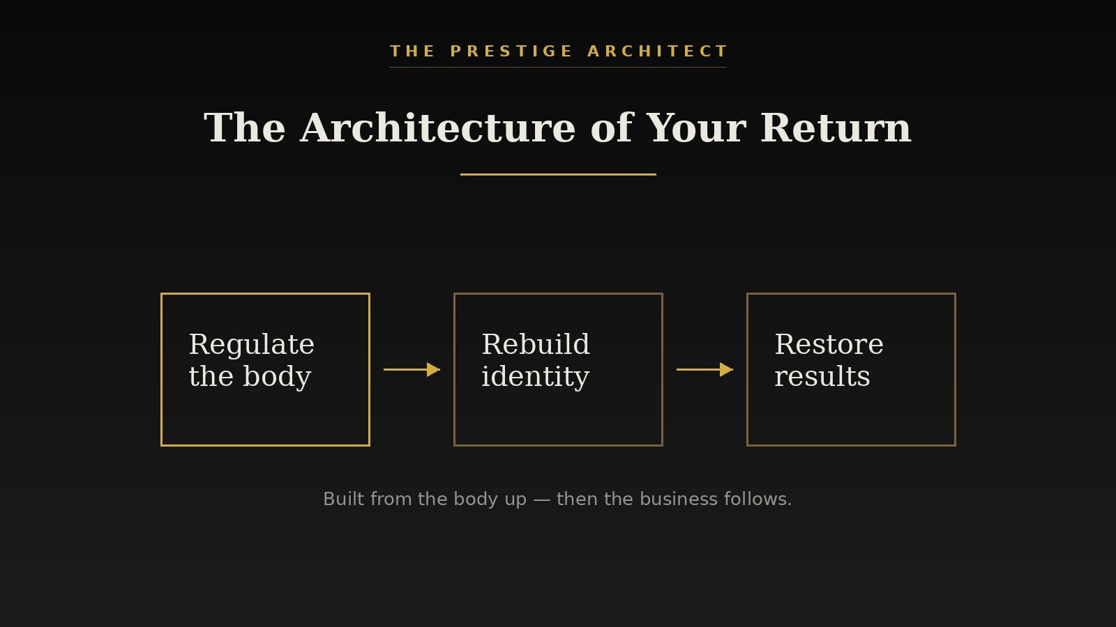 Rebuilding the nervous system architecture of an executive return to Sovereign Leadership, Systems pillar