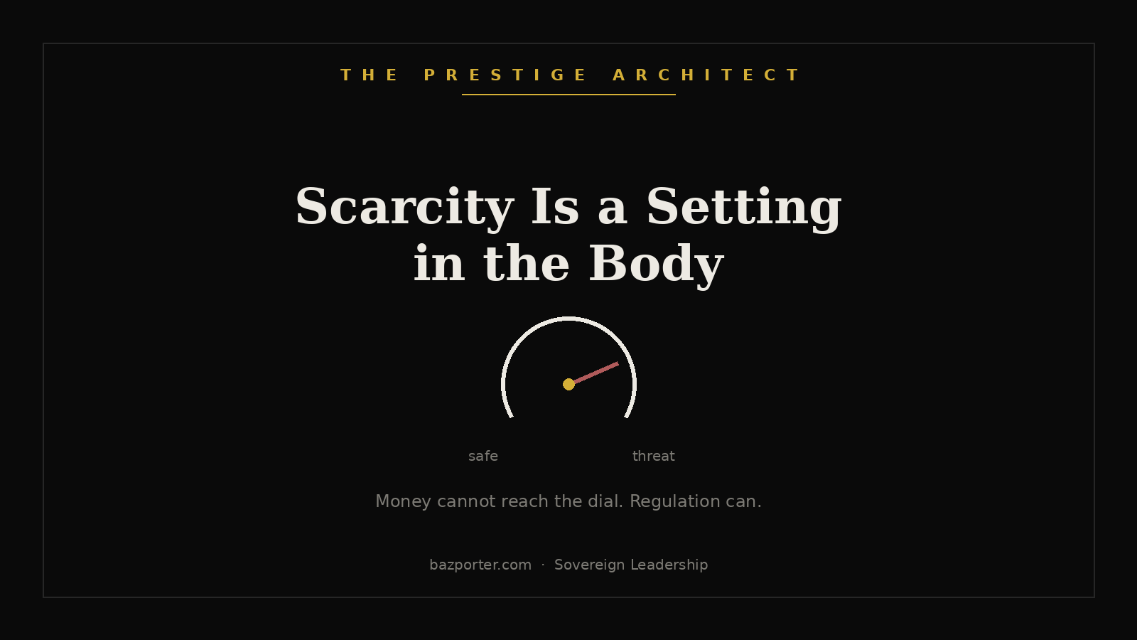 Mapping the money scarcity response in a successful founder facing financial anxiety