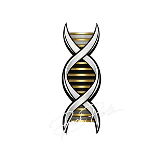 Baz Porter&reg; — The Prestige Architect&reg;