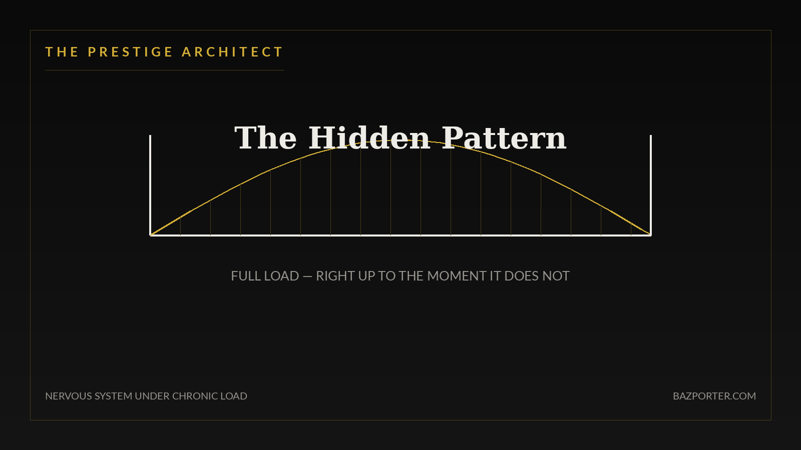 Recognizing the hidden load pattern beneath executive performance, nervous system architecture