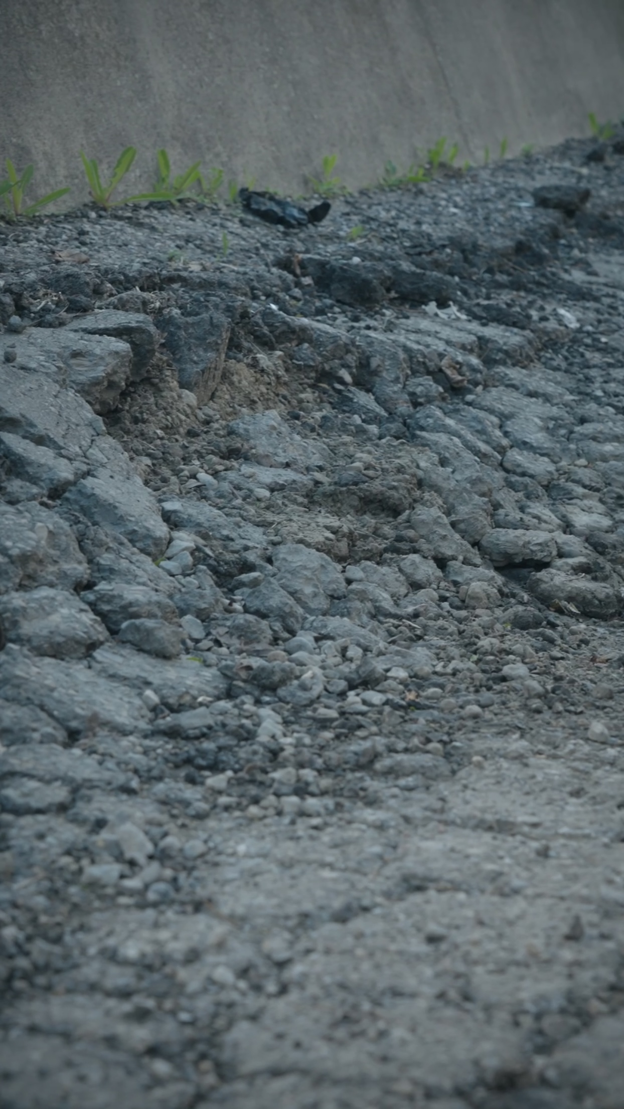 How Much Does Asphalt Paving Repair Cost?