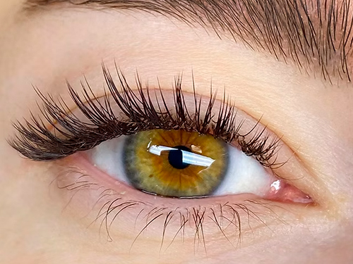 Lee County Eyelash Extensions