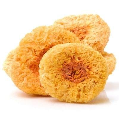 tremella