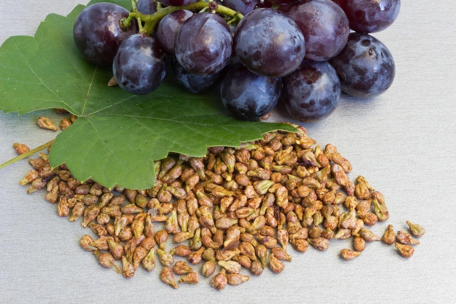 Grape Seed Extract