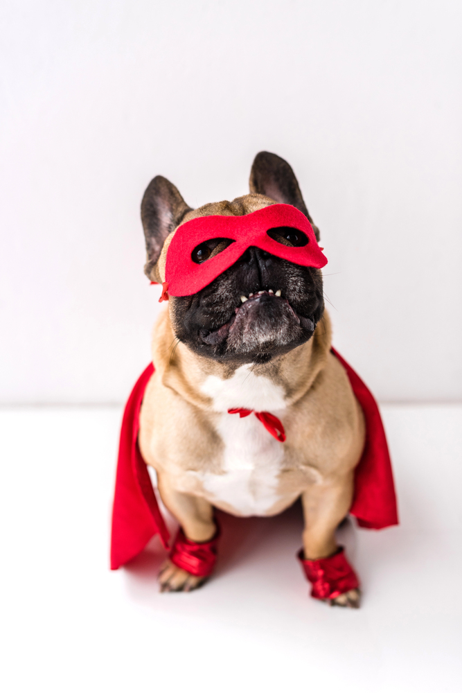 Caregiver Superhero