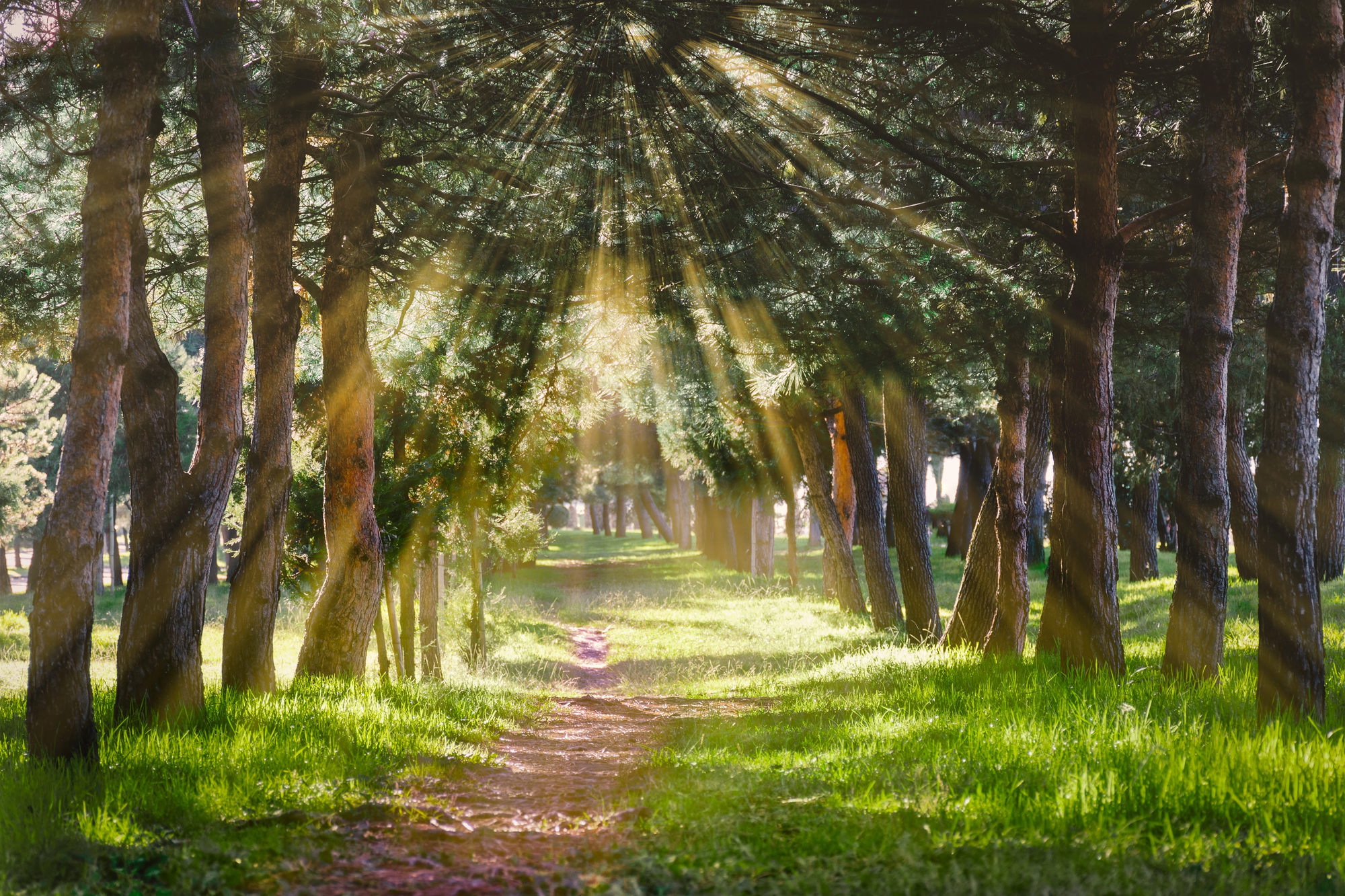 How to Start Working With Your Body Instead of Fighting It