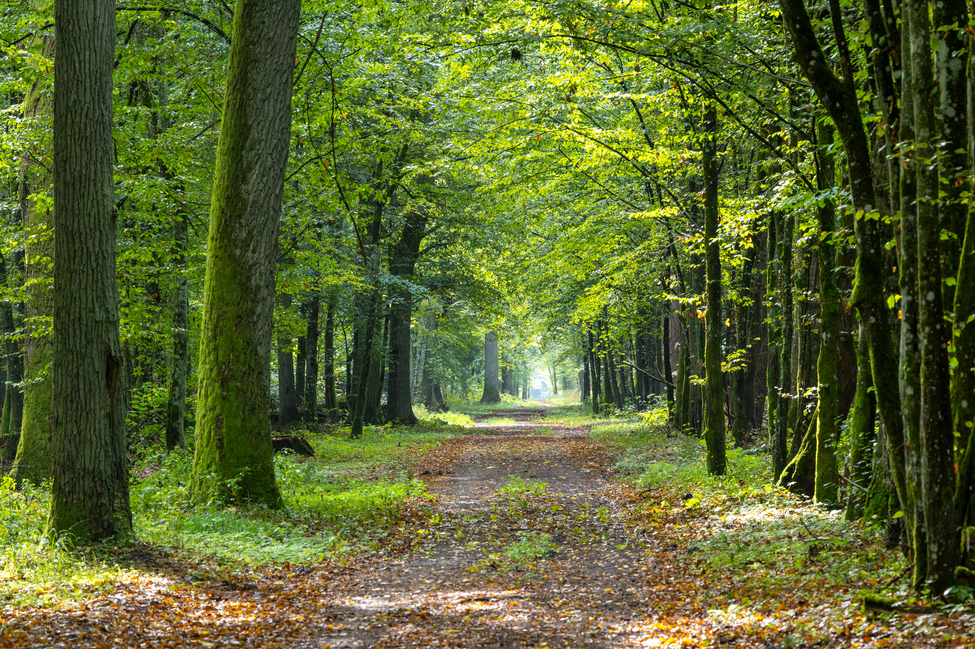 How Summer Heat Affects Chronic Pain and Illness Symptoms