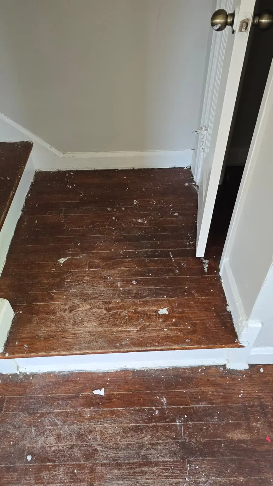 Subfloor prepared ahead of a repair