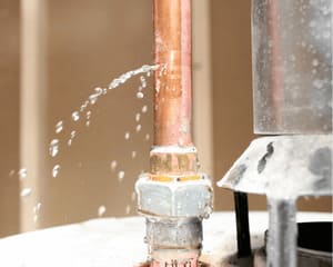 Sewer Repair Cambridge