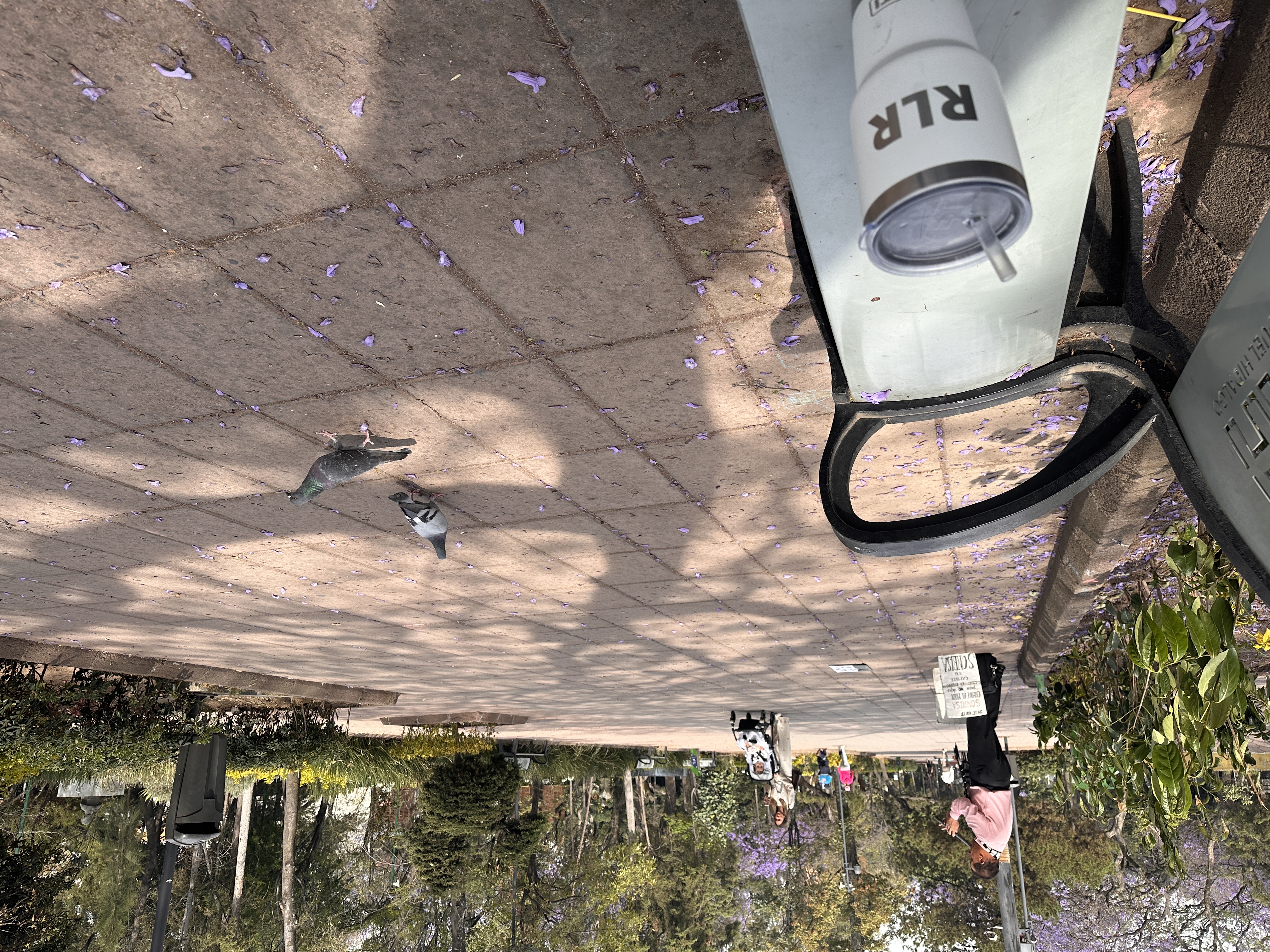 Un milagro consciente