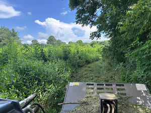 {{ custom_values.service_2 }} in {{custom_values.area_2})