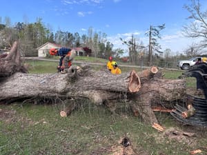 {{ custom_values.service_3 }} in {{custom_values.area_3})