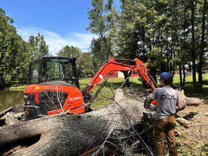 Forestry Mulching in Madison county