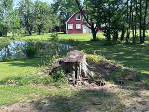 {{ custom_values.service_2 }} in {{custom_values.area_3})