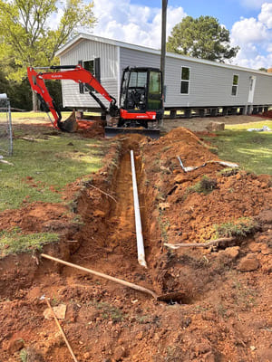 Tree removal in Madison county